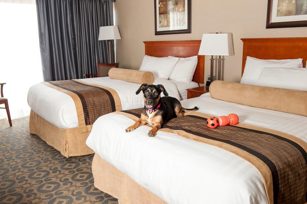 Best Western Brantford Hotel And Conference Centre Εξωτερικό φωτογραφία